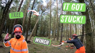 TREE GOT STUCK  Chainsaw Course  Diary Of A 21 Year Old Landscape Business Owner EP7 UK [upl. by Annaoi980]