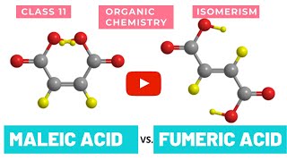 MALEIC ACID VS FUMARIC ACID [upl. by Arleta]