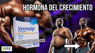 😱 Todo lo que tienes que saber de la hormona de crecimiento para fisicoculturismo 🔥 [upl. by Korry133]