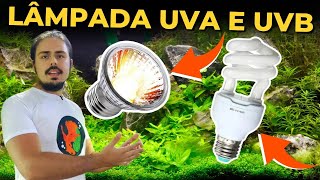 🔴A IMPORTÂNCIA DAS LAMPÂDAS UVB E UVA PARA AS TARTARUGAS Mr Betta [upl. by Aerdied442]