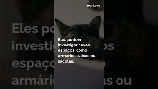 Você sabia Exploração do Ambiente GATOS [upl. by Shaylynn]