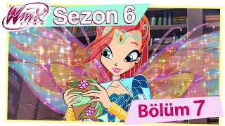 Winx Club  Sezon 6 Bölüm 7  Kayıp Kütüphane  TAM BÖLÜM [upl. by Allecram473]