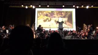 Zelda Symphony of the Goddesses  Skyward Sword  Düsseldorf 19042015 [upl. by Inavoy]