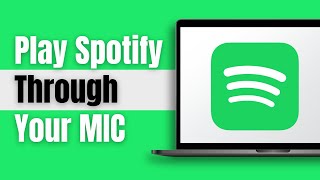 How To Play Spotify Through Your MIC Best Method [upl. by Allin250]