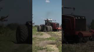 Buhler Versatile 435 amp Horsch Tiger 8LT Superior Field Work [upl. by Bobbe]