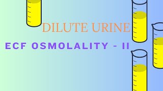 ECF OSMOLALITY II Dilute Urine [upl. by Hakaber943]