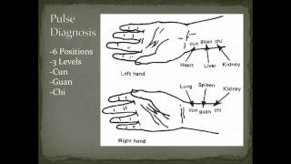 Pulse Diagnosis Overview  Diagnostic Methods in Chinese Medicine [upl. by Debor893]