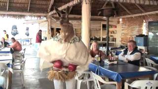 Yaqui Deer Dance San Carlos Sonora Mexico [upl. by Dloniger108]