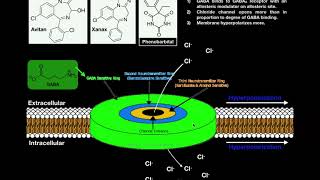 The Mechanism of Benzodiazepines  The GABA Receptor and Allosteric Modulation [upl. by Ailama]