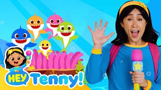 🦈 Tenny meets the Shark Family  Five Little Sharks Jumping on the Bed  Nursery Rhymes  Hey Tenny [upl. by Galang166]