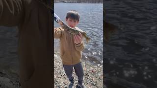 Giant pickerel pickerel fishing fish pikefishing viralvideo [upl. by Jilleen]