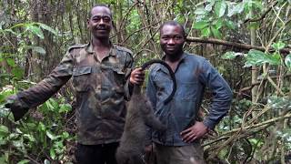 Histoire dune chasse  Cameroun [upl. by Llerrud]