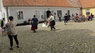 Lady Guard  public demonstration [upl. by Iroak176]