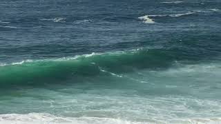 Bronte amp Tamarama Surf Check Thursday March 14th 2024 900am [upl. by Atiloj]