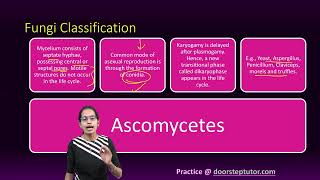 Fungi Classification Phycomycetes Ascomycetes Basidiomycetes Deuteromycetes [upl. by Middleton758]