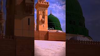 Raqqat Aina Ya Shoqan Naat by Maher Zain youtubeshorts aesthetic quran shorts Blox Fruits fyp [upl. by Auqinahc362]