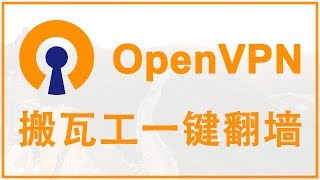 【iQiQi】232 搬瓦工取消一键安装Shadowsocks的替代方案，一键安装OpenVPN服务器，OpenVPN Windows和Mac电脑使用教程，突破防火墙限制！ [upl. by Biel]