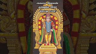 murugan tiruchendur muruganwhatsappstatustamil murugantemple tiruchendurmurugan shortstamil [upl. by Adeys108]