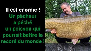 Un gigantesque poisson a été péché en France [upl. by Bartram193]