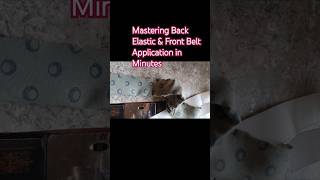 Mastering Back Elastic amp Front Belt Application in Minutes BackElastic FrontBelt [upl. by Lussier]