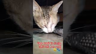 quotKabii Ki Masti Taki Taki Pe  Funny Cat Chasing Ground 😹quot [upl. by Zucker]