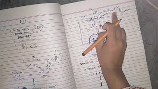 Anti Gastrointestinal drugs Part 1 pharmacology lippincot katzung [upl. by Rekab]