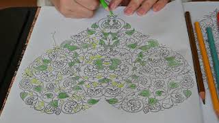 How to draw beautiful coloring pictures learn this way and you will be able to master it 3 [upl. by Amara]