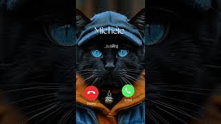 Michele mi sta chiamando catphones shortcat [upl. by Taggart]