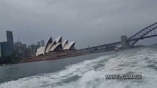 Ferry Ride from Circular Quay to Double Bay  Walking with Manel 195 [upl. by Drusus]