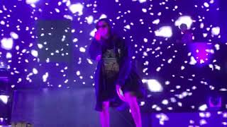 AMORFODA EN VIVO  BAD BUNNY EN PARAGUAY [upl. by Comethuauc]