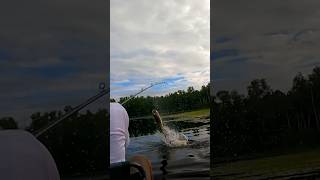 Fishing For BIG FISH In A Canoe With My Wife fishing musky marriage bigfish [upl. by Frentz]