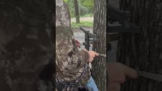 How to hang climbing sticks  hunting deer bowhunting shorts [upl. by Sucul]