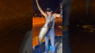 BOWFISHING Invasive Fish [upl. by Adnuahs]