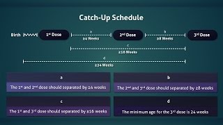 Hepatitis B Vaccine Routine and Catchup Schedule [upl. by Aileda]