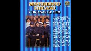 Sentimiento Chicano  Caminos de Michoacán [upl. by Aninad]