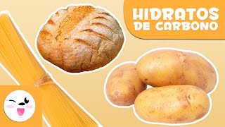 ¿Qué son los hidratos de carbono  Alimentación saludable para niños [upl. by Htidra]