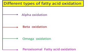 Types of Fatty Acid Oxidation in Biochemistry AlphaBetaOmega amp Peroxisomal Fatty Acid oxidations [upl. by Sam]