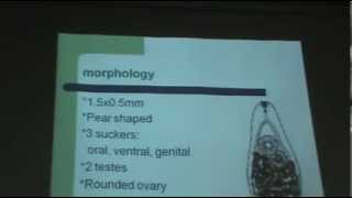 Drmona mahmoud  parasitology  Helminthology 3 [upl. by Jamal743]