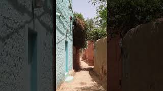 🇩🇿🌴La Palmeraie de Beni Isguen🌴🇩🇿 shorts short ghardaia algeria algerie unesco ksar [upl. by Orravan130]