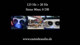 125 Hz to 20 Hz 90sec Sinus Ton Wave 0DB für Hifi Audio Test Sweep [upl. by Letsou]