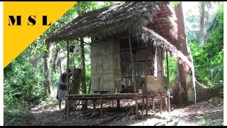 Dschungel Bushcraft  Hütte Bauen  Jungle Bushcraft  Building a Hut 2 [upl. by Whitten110]