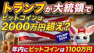 年内バブルくるぞ！！！ トランプ当選で大勝利！ １BTCが2000万円の仮想通貨バブル突入 [upl. by Barabas]