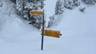 Skitour Roggenstock 1777m  Dezember 2023 [upl. by Hannad569]