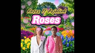 Chainsmokers  Roses ftRozes amp Pejolink Fix tape [upl. by Mandle]