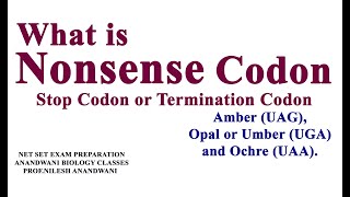 What is nonsense codon  Stop codon Termination Codon [upl. by Novahc]