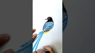 How to draw Bird  Bird drawing  Easy drawing step by step  Sketch drawing art sketch [upl. by Adnalu313]