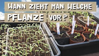 Wann welche Pflanze vorziehen Tipps zur Jungpflanzenvoranzucht [upl. by Fricke]