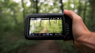 Why the BMPCC 4k is still amazing [upl. by Ailema835]