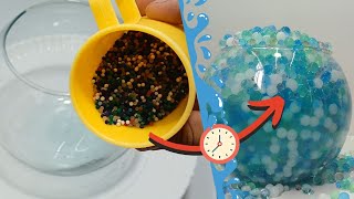 Orbeez Water Time Lapse  FUN MARBLES [upl. by Dorinda]