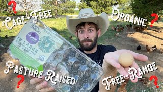 What does CageFree FreeRange Pasture Raised and Organic Eggs actually mean [upl. by Amliw978]